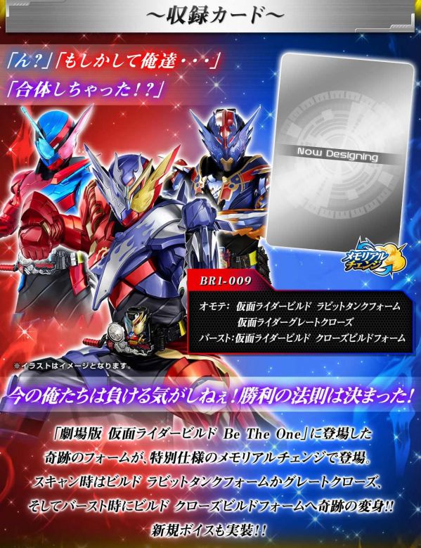 仮面ライダーバトル ガンバライジング 10thアニバーサリー 9ポケットバインダーセット